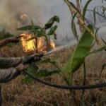 BMKG Ungkap 10 Wilayah Terpanas di Indonesia, Suhu Tembus 37,4°C