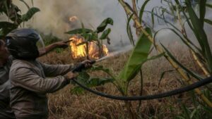BMKG Ungkap 10 Wilayah Terpanas di Indonesia, Suhu Tembus 37,4°C - www.swarnaberita.com