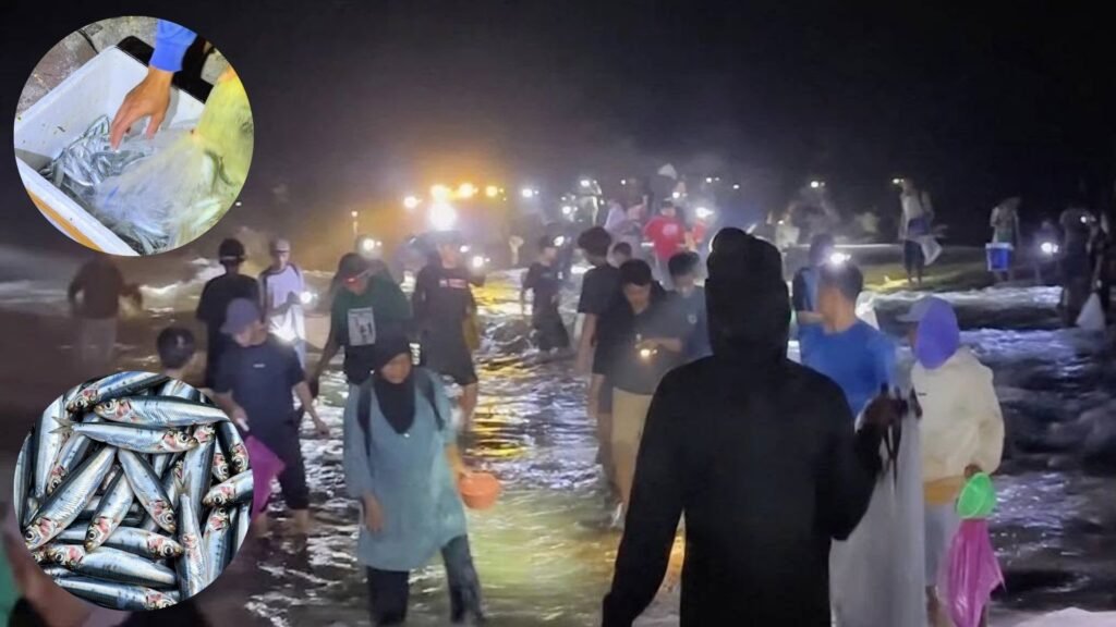 Malam Hari, Warga Ramai Berburu Ikan Teri di Pantai Wediombo Gunungkidul - www.swarnaberita.com