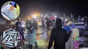 Malam Hari, Warga Ramai Berburu Ikan Teri di Pantai Wediombo Gunungkidul - www.swarnaberita.com